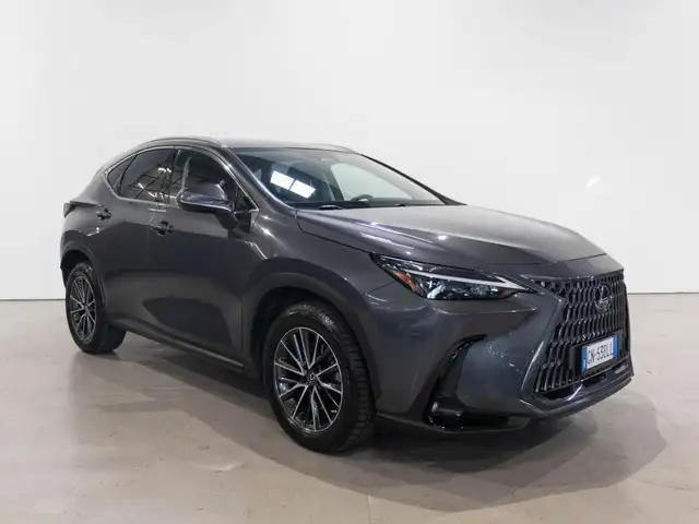 Lexus NX 300 NX Hybrid 4WD Premium