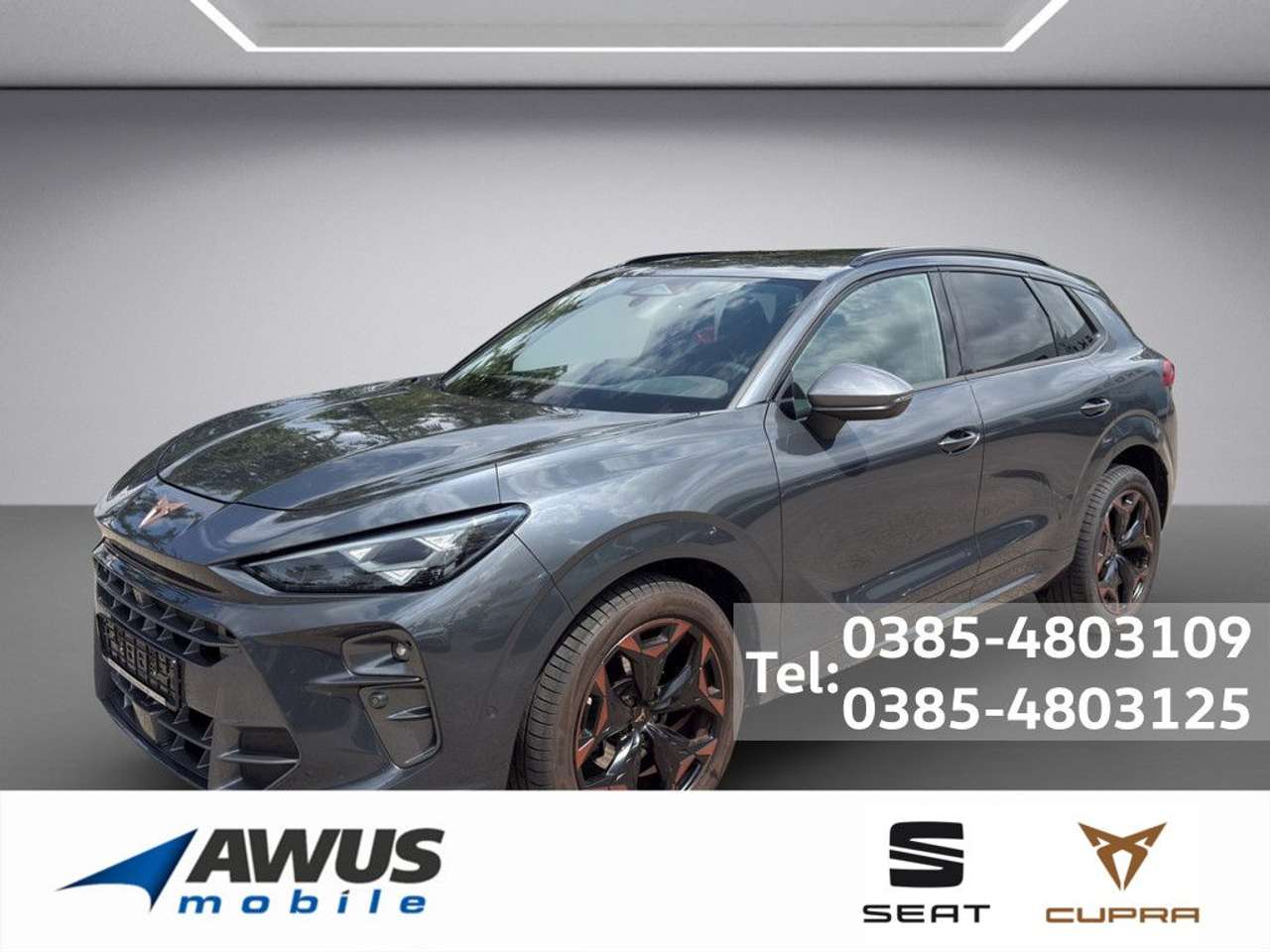 Cupra Terramar — Cupra Terramar 1.5eTSI DSG AHK