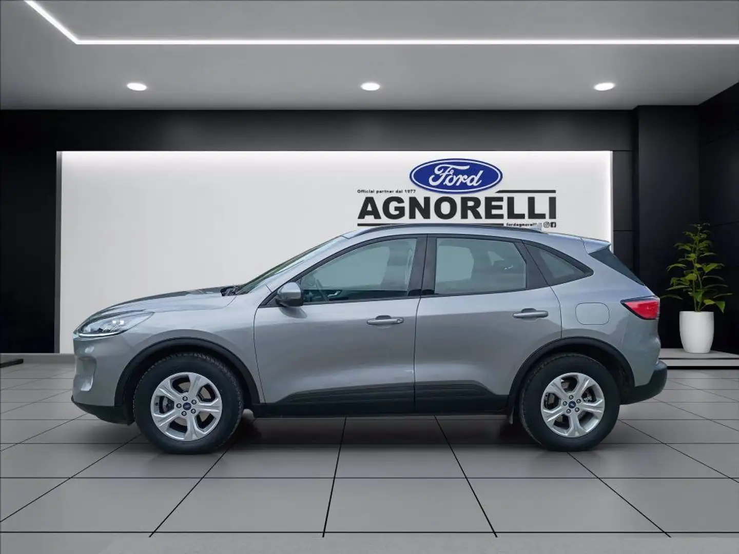 Ford Kuga 1.5 ecoblue Connect 2wd 120cv Grigio - 2