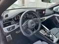 Audi A5 A5 Cabrio 35 TDI S-line S-tronic S-line Weiß - thumbnail 22
