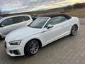 Audi A5 A5 Cabrio 35 TDI S-line S-tronic S-line Weiß - thumbnail 2