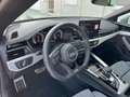 Audi A5 A5 Cabrio 35 TDI S-line S-tronic S-line Weiß - thumbnail 15