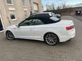 Audi A5 A5 Cabrio 35 TDI S-line S-tronic S-line Weiß - thumbnail 6