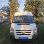 Ford Transit Bus White - thumbnail 2