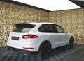 Porsche Cayenne Diesel|PANO|18-Wege|LEDER|21"|360|ACC| Blanc - thumbnail 5