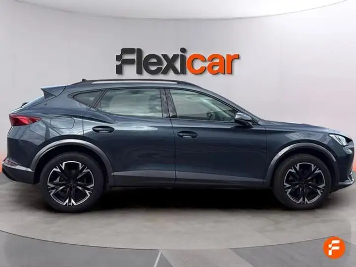 Cupra Formentor 1.5 TSI 2024, foto 8