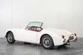 MG A Wit - thumbnail 6