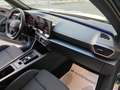 CUPRA Formentor 2.0 TDI 150 CV 4Drive DSG Grau - thumbnail 15