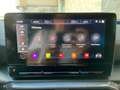 CUPRA Formentor 2.0 TDI 150 CV 4Drive DSG Grau - thumbnail 29