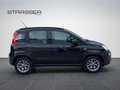 Fiat Panda 4X4 Klima Einparkhilfe Fenster el. Noir - thumbnail 14