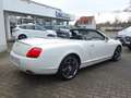 Bentley Continental GTC Klima Leder NAVI Keyless bijela - thumbnail 9