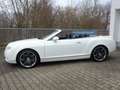 Bentley Continental GTC Klima Leder NAVI Keyless Білий - thumbnail 7