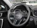 Kia XCeed 1.5T DCT Vision Navi Lenkradhzg Kamera ACC Wit - thumbnail 8