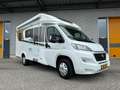 Carado T 135 Hymer Carado Camper Wit - thumbnail 15