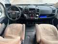 Carado T 135 Hymer Carado Camper Wit - thumbnail 14