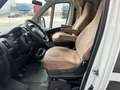 Carado T 135 Hymer Carado Camper Wit - thumbnail 7