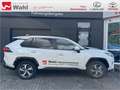 Toyota RAV 4 Weiß - thumbnail 19