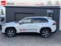 Toyota RAV 4 Weiß - thumbnail 3