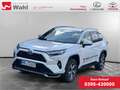 Toyota RAV 4 Weiß - thumbnail 1