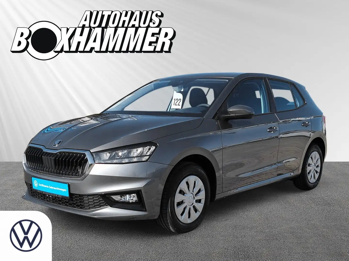 Skoda Fabia 1.0 TSI Selection Plus SHZ+LED+PDC Grau - 1