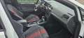Volkswagen Golf GTI TCR, Akrapovic, DYNAUDIO, 19", .... - thumbnail 14
