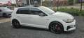 Volkswagen Golf GTI TCR, Akrapovic, DYNAUDIO, 19", .... - thumbnail 6