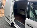 Volkswagen Caddy Caddy 1.6 TDI 102 CV 5p. Comfortline Bianco - thumbnail 8