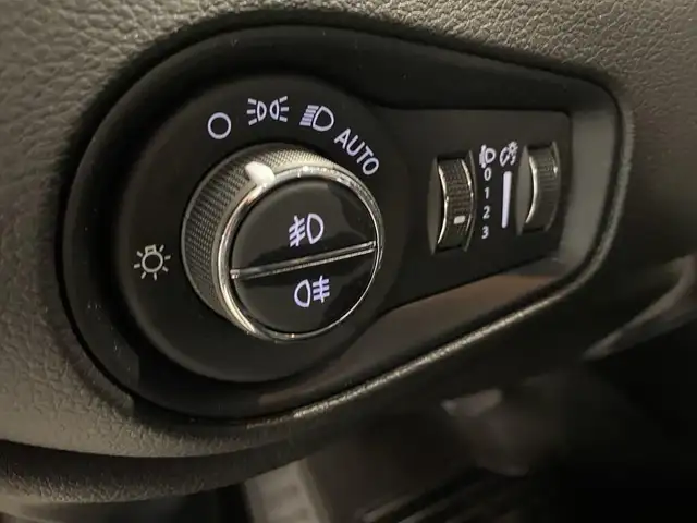 Jeep Renegade view 21