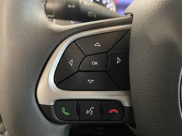 Jeep Renegade view 19