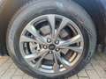 Ford Kuga 2.5 phev ST-Line X 2wd 225cv cvt Bleu - thumbnail 19