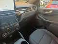 Ford Kuga 2.5 phev ST-Line X 2wd 225cv cvt Blu/Azzurro - thumbnail 11