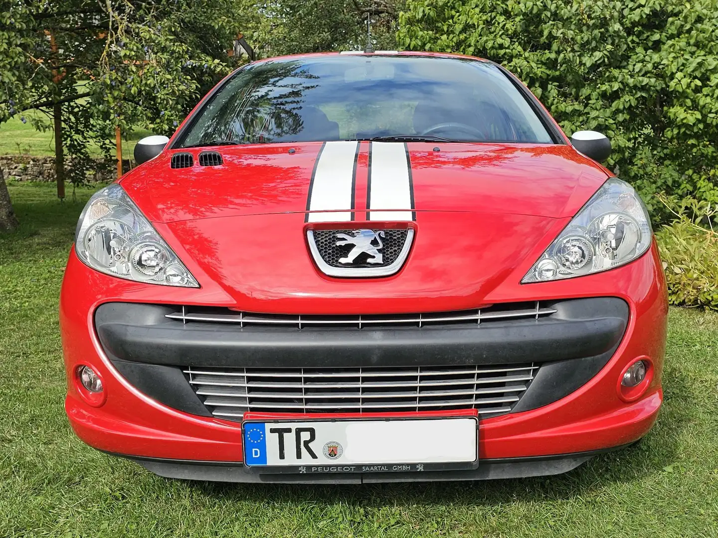 Peugeot 206 206+ 75 Street Racing Rot - 1