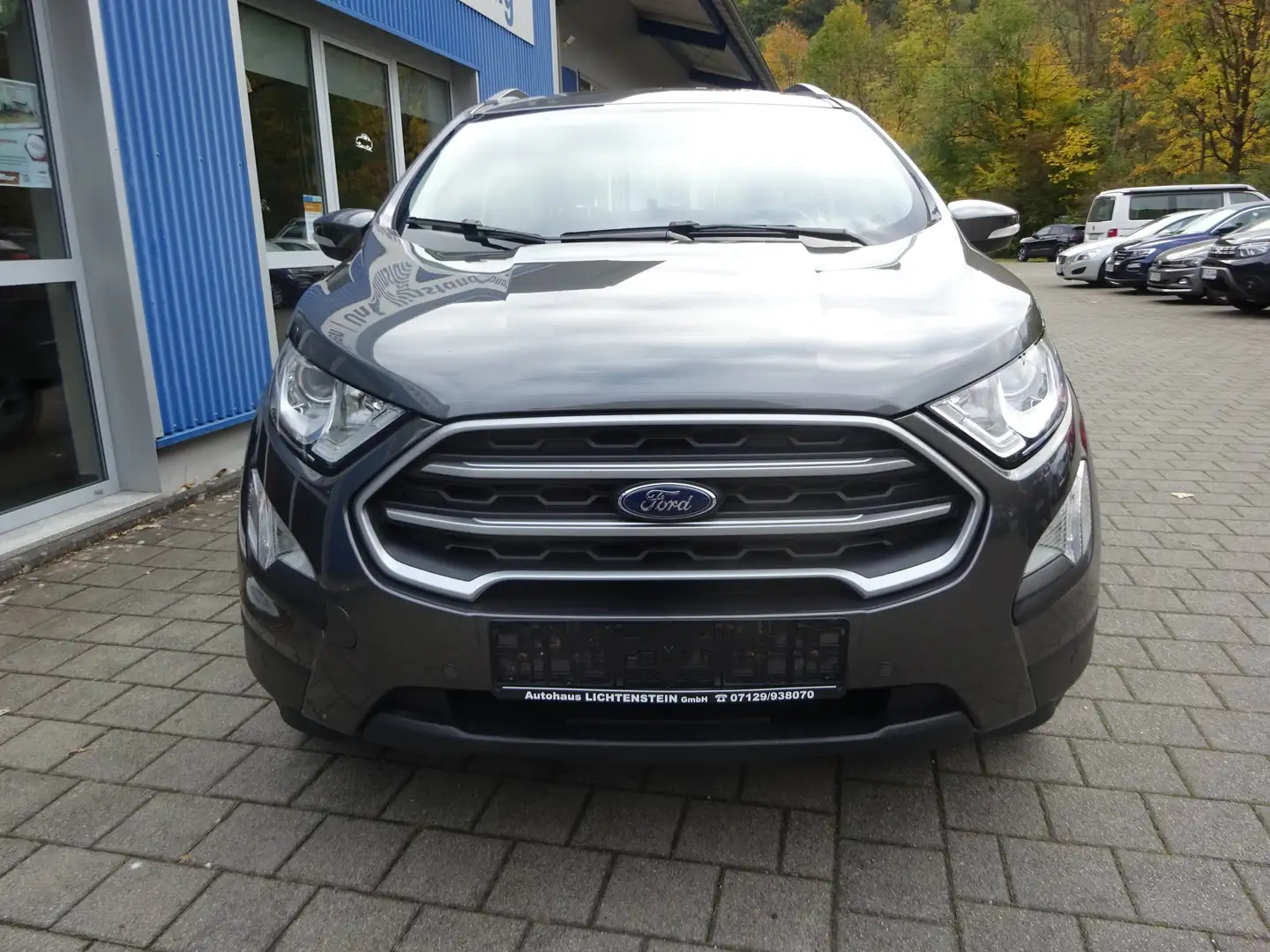 Ford EcoSport Cool 92kw 125PS Automatik Navi Winterpak Tempomat Grau - 2