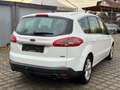 Ford S-Max S-MAX Titanium Weiß - thumbnail 7