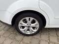 Ford S-Max S-MAX Titanium Weiß - thumbnail 19