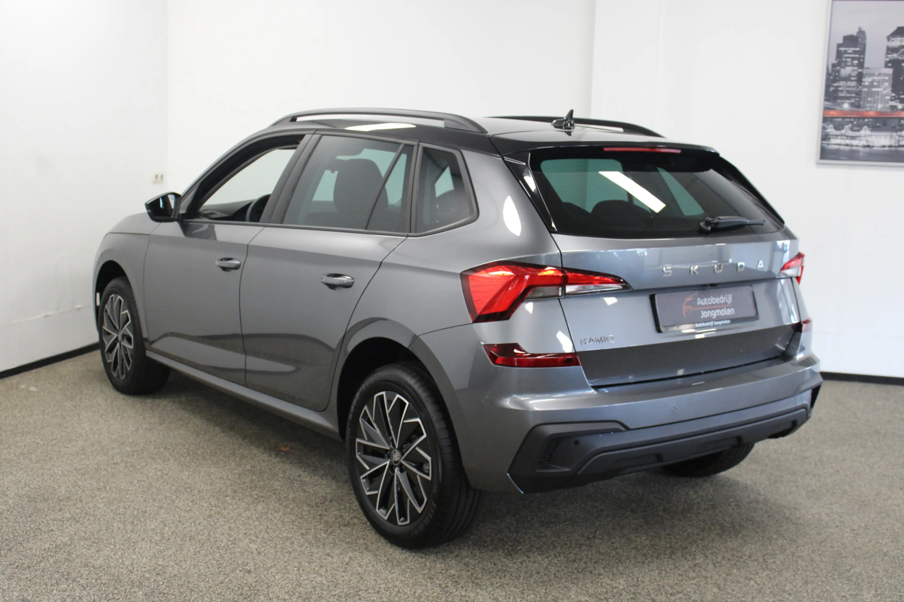 Skoda Kamiq 1.0 TSI Selection — photo 8