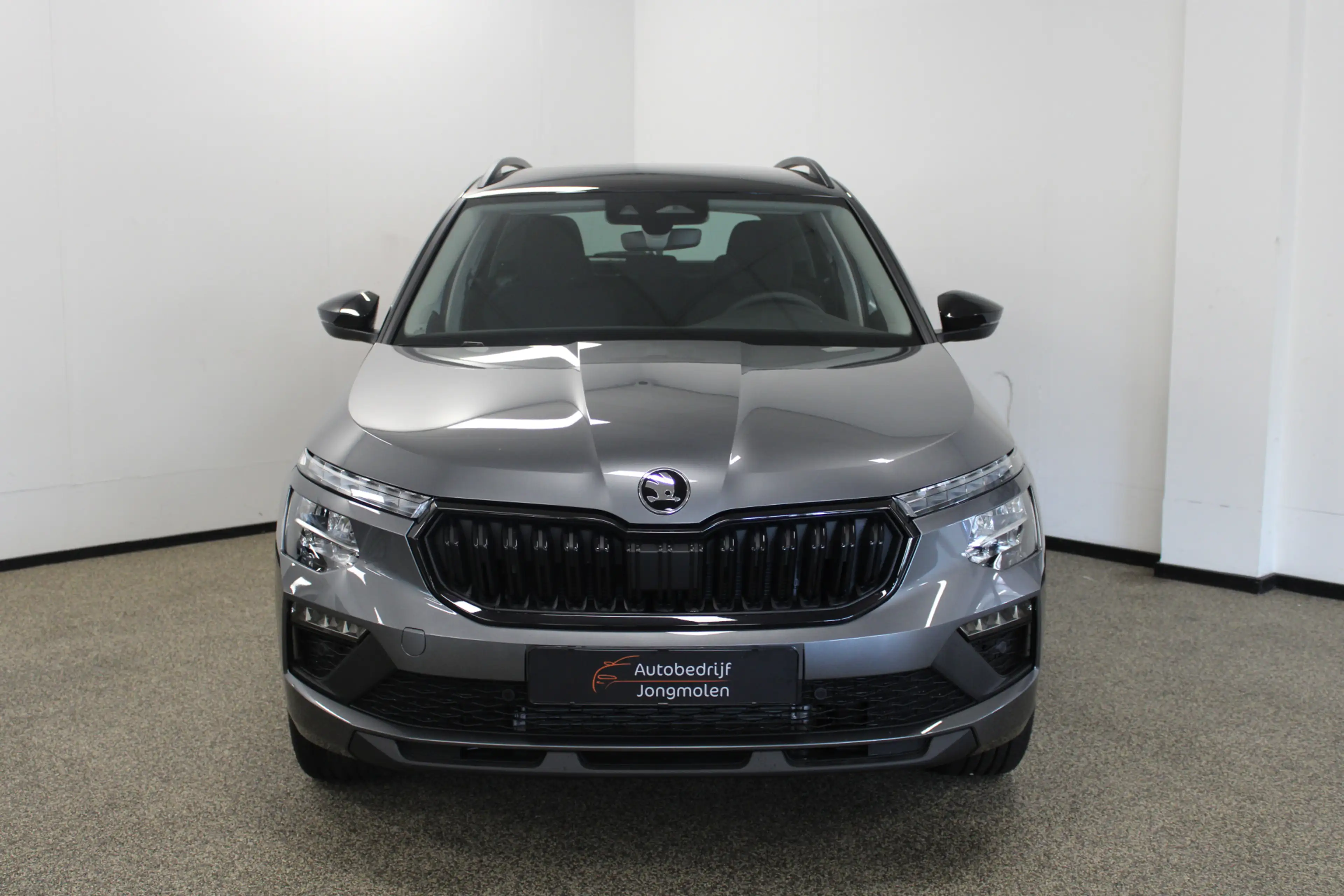 Skoda Kamiq 1.0 TSI Selection — photo 5