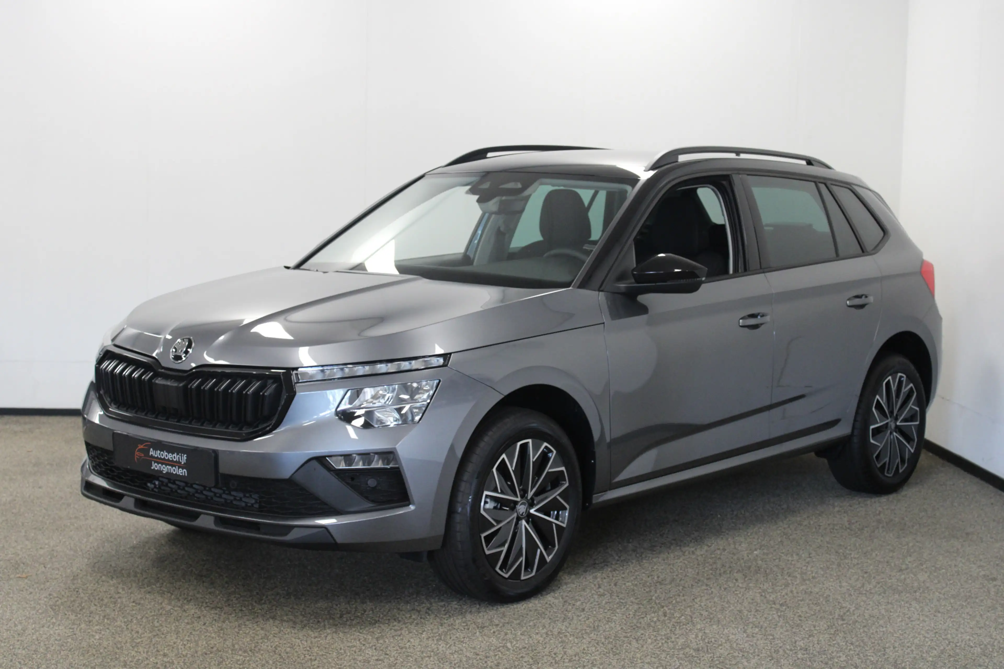 Skoda Kamiq 1.0 TSI Selection — photo 27
