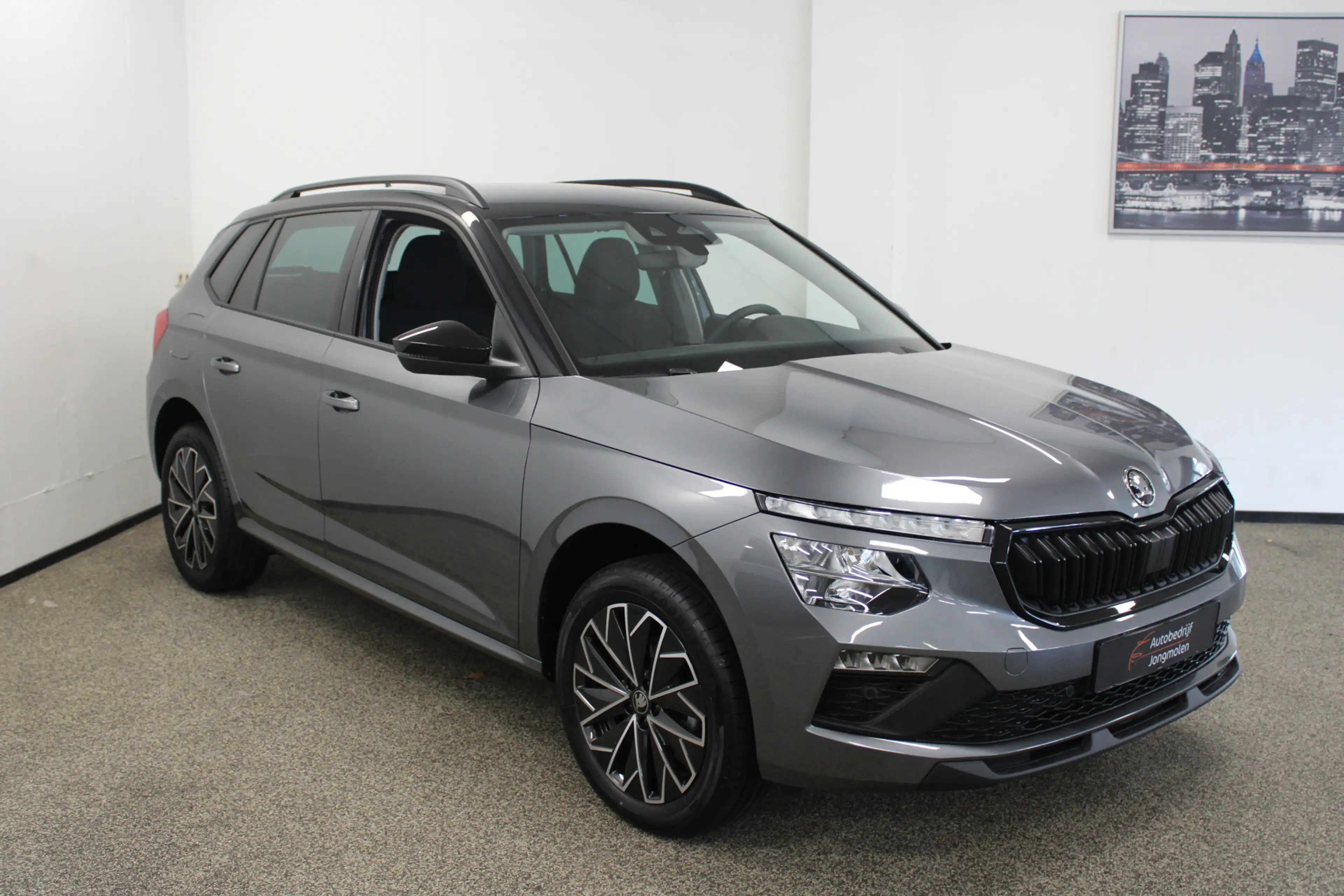 Skoda Kamiq 1.0 TSI Selection — photo 7