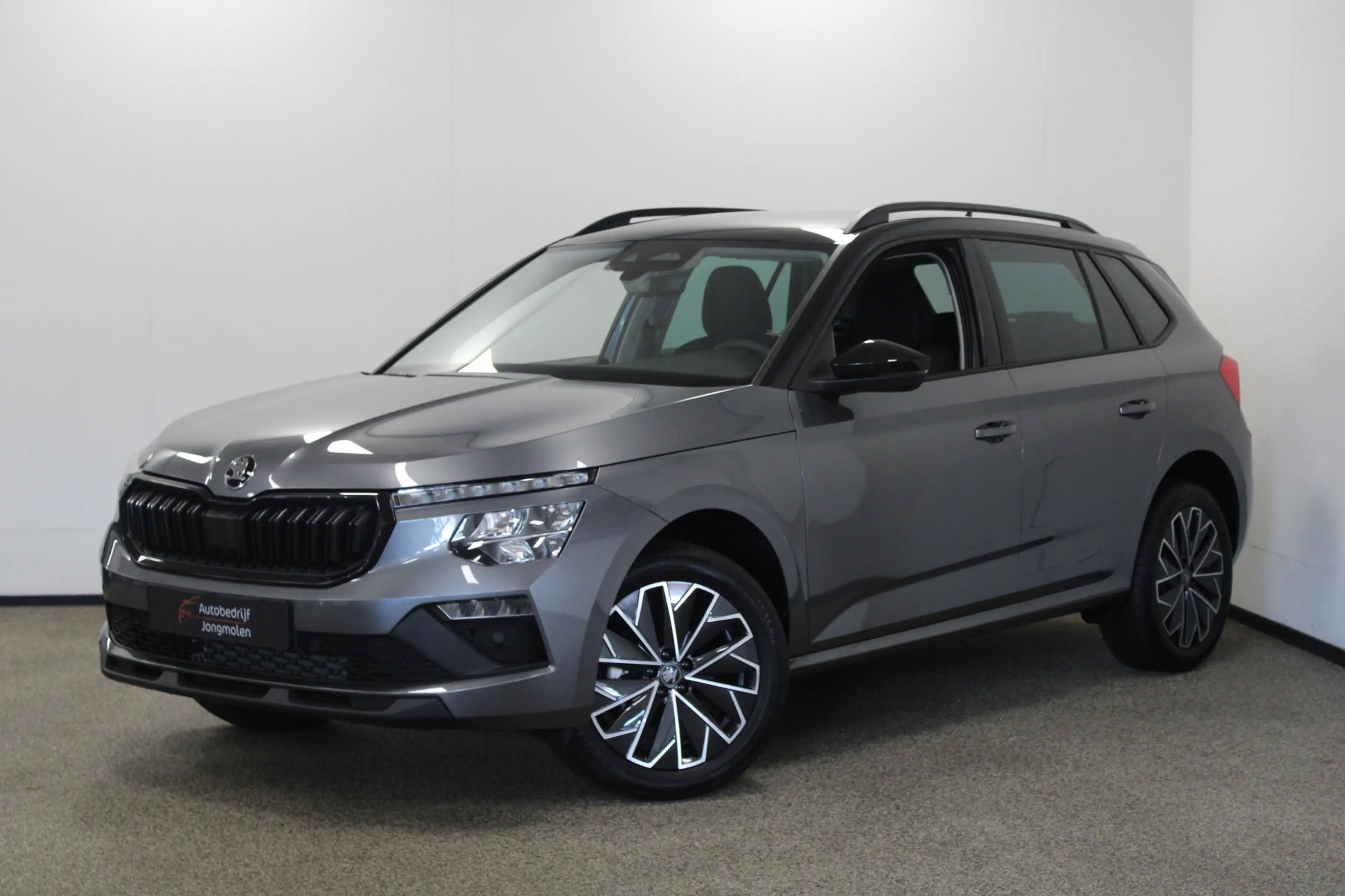 Skoda Kamiq 1.0 TSI Selection