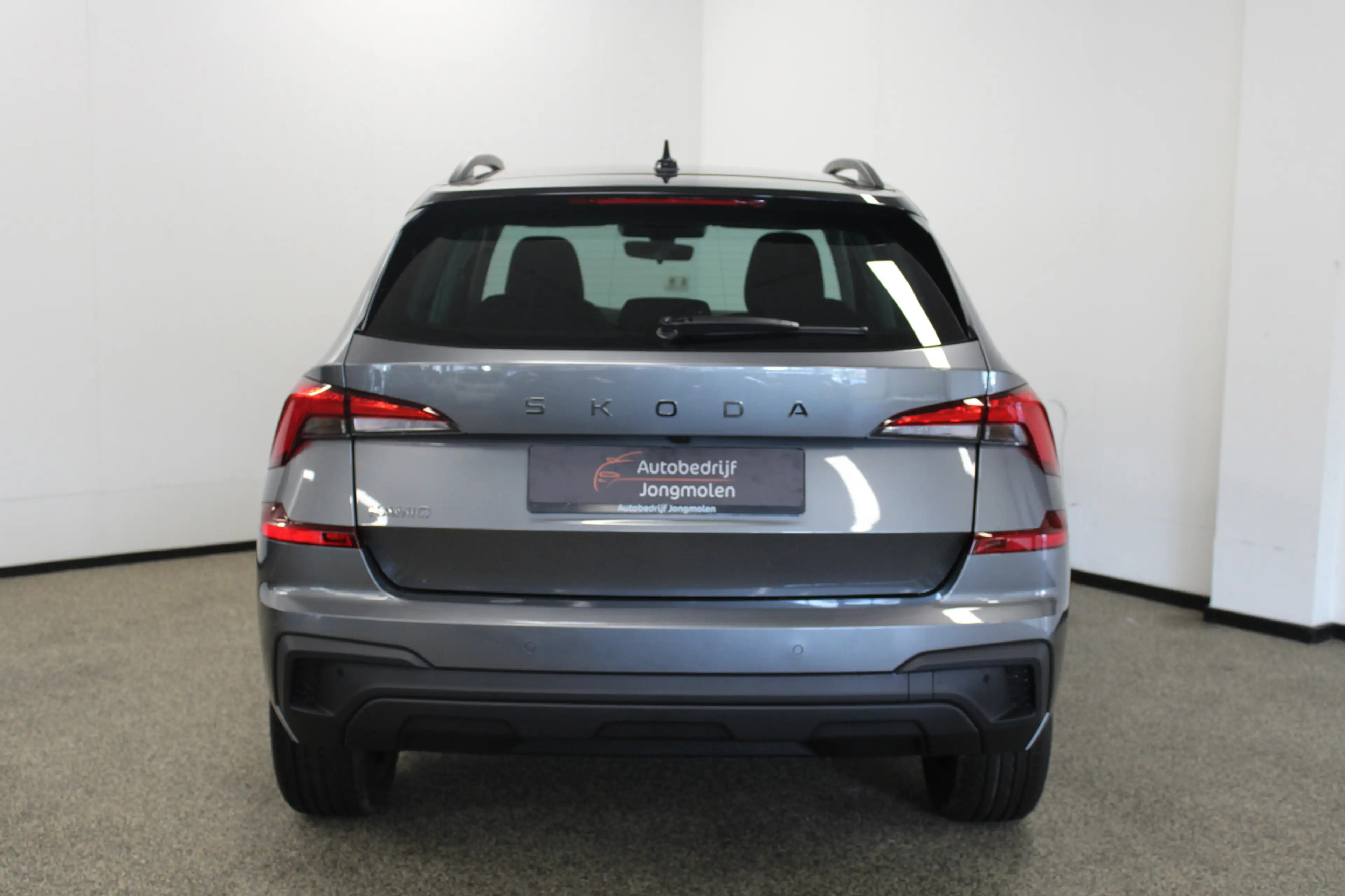 Skoda Kamiq 1.0 TSI Selection — photo 6