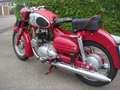 Puch 250 SGS Rouge - thumbnail 3
