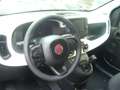 Fiat Panda Cross Pandina 1.0 FireFly Hybrid 5Posto Nuovo Mo Nero - thumbnail 14