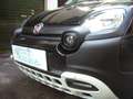 Fiat Panda Cross Pandina 1.0 FireFly Hybrid 5Posto Nuovo Mo Nero - thumbnail 4