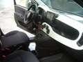 Fiat Panda Cross Pandina 1.0 FireFly Hybrid 5Posto Nuovo Mo Nero - thumbnail 25