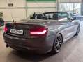 BMW 218 d Advantage Bi-Xenon H/K Cam Ambient SHz AHK Grau - thumbnail 6