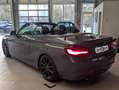 BMW 218 d Advantage Bi-Xenon H/K Cam Ambient SHz AHK Grau - thumbnail 4