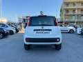 Fiat Panda Panda 0.9 TwinAir Turbo Natural Power Easy Bianco - thumbnail 14