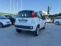 Fiat Panda Panda 0.9 TwinAir Turbo Natural Power Easy Bianco - thumbnail 15