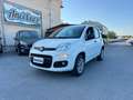 Fiat Panda Panda 0.9 TwinAir Turbo Natural Power Easy Bianco - thumbnail 3